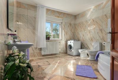 Vila 360 mp utili, teren 510 mp curte liberă 300 mp la 200 m de Parcul Circului - 15