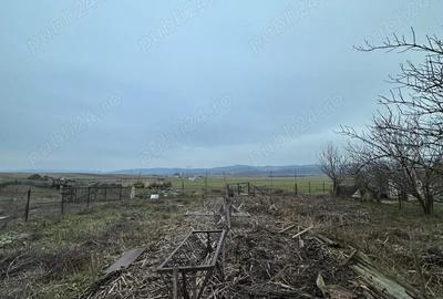 Casa ?i teren de vanzare - 5