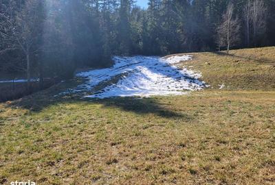 Teren de 4200 mp, în Sucevița