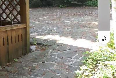 Casă cu 5 camere în Poiana Țapului - 5