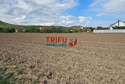 Teren de 2000 mp, în Ighiu - 7