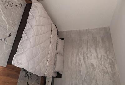 Apartament cu 2 camere semidecomandat în Central - 6