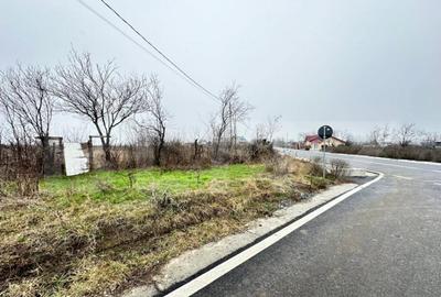 Teren de vanzare, 7200 mp, parcelabil, zona Bogdanesti - 3