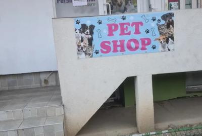 Spațiu comercial, de 18 mp, în Pantelimon - 3