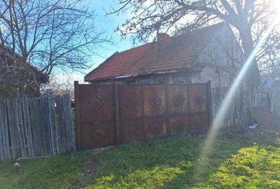 Casa de vanzare,Sacosu mare,6000m2,acte la zi,zona foarte linistita - 1