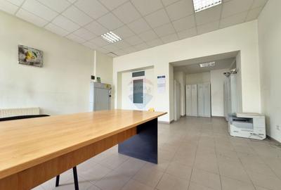 Spațiu industrial, de 6,132 mp, în Aradul Nou - 13