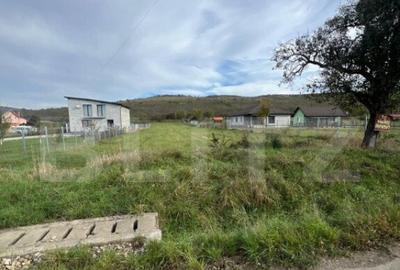 Teren de Vanzare, foarte aproape de Crama Jelna - 1