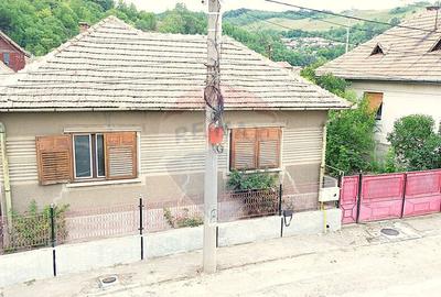 Casa pe un nivel in Medias, teren 533 mp, curte dreapta - 1