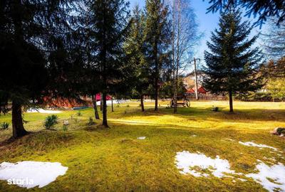 Spațiu comercial, de 300 mp, în Arieșeni - 9