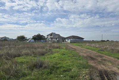 Teren de 500 mp, în Km 5