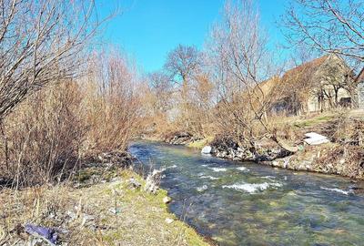 Teren Construcții extravilan de 17000 mp, în Tohanu Nou - 14