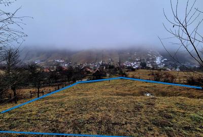 Teren intravilan Simon/Bran, 4318 mp , casuta intabulata, utilitati - 3