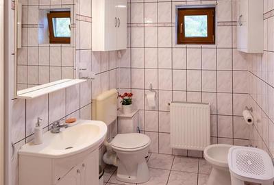 Duplex cu 7 camere cu Teren 4391 Mp în Băbana - 23