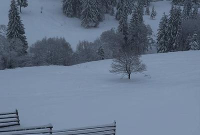 Spațiu comercial, în Glodu - 6