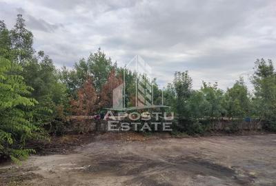 Teren Construcții intravilan de 8000 mp, în Vladimirescu
