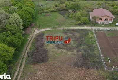 Teren de 884 mp, în Cetate - 2