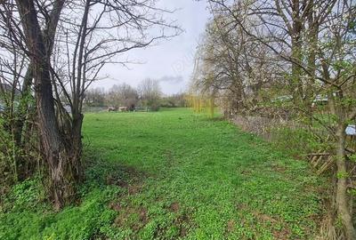 Casă cu 4 camere cu Teren 2650 Mp în Țârdenii Mari - 3