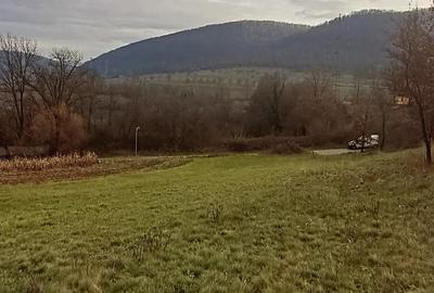 Teren de 3380 mp, în Șoimuș - 9