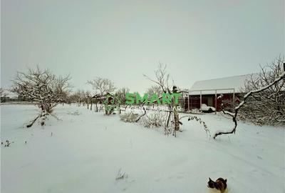 Casă cu 3 camere cu Teren 1029 Mp în Zimandu Nou - 13