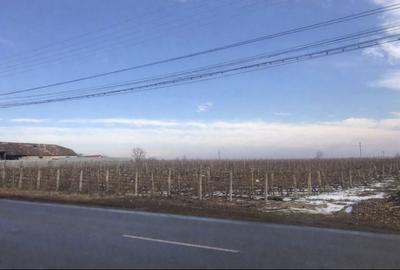 Teren de 4019 mp, în Exterior Vest - 4