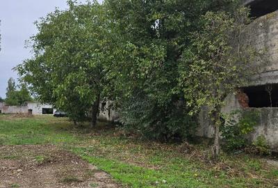 Hala , SC total 2048 MP , P+E, trifazic , teren 2000 mp, zona Borsului - 26