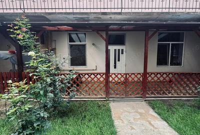 AV660 Apartament 1 camera, la curte, zona strazii Mangalia-Iosefin - 17