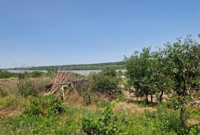 MAHMUDIA-TERENURI SI CASE - 5