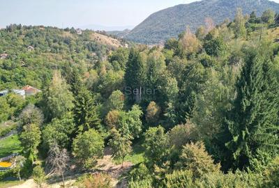 Teren intravilan zona Schei - 11