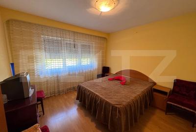 Apartament cu 2 camere decomandat, mobilat în Calea Severinului - 3