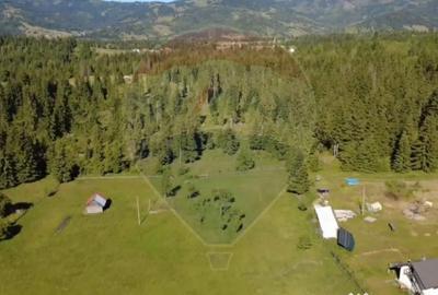 Teren de 9685 mp, în Neagra - 6