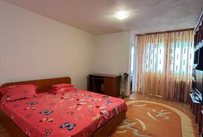 Garsonieră în Brazda lui Novac - 3