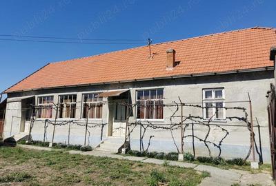 Casa de vanzare in Nadab - 3