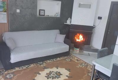 Vand casa Lozna jud Salaj - 3
