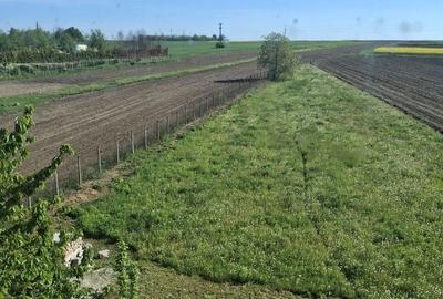 Casă cu 4 camere în Central - 4