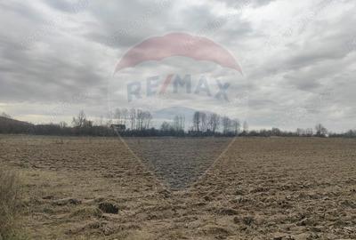 Teren de 11900 mp, în Fârdea - 1