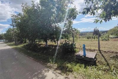 Teren de 2400 mp, în Săliște - 3