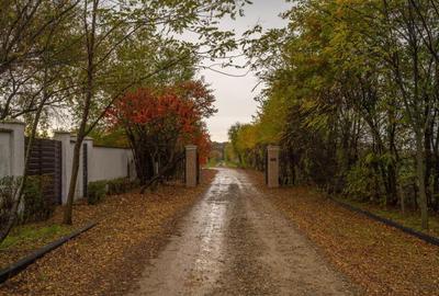 Teren de 1133 mp, în Afumați - 1