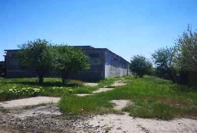 Spațiu industrial, de 171,937 mp, în Urleasca - 5