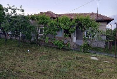 Casă cu 6 camere cu Teren 1600 Mp în Siliștea - 4
