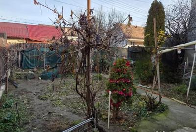 Casă cu 2 camere în Iris - 1