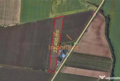 Teren de 22400 mp, în Calea Aradului - 1