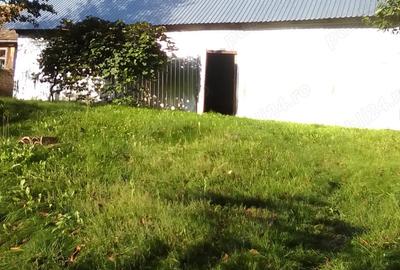 Vand casa la tara in zona Fagaras - 5