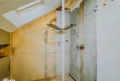 Apartament cu 2 camere semidecomandat, mobilat în Bună Ziua - 5