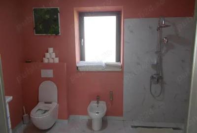 Casă cu 3 camere cu Teren 1439 Mp în Ronaț - 3