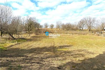 Teren Construcții intravilan de 4833 mp, în Dancaș - 2