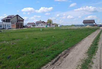 Spațiu comercial, în Berceni - 6