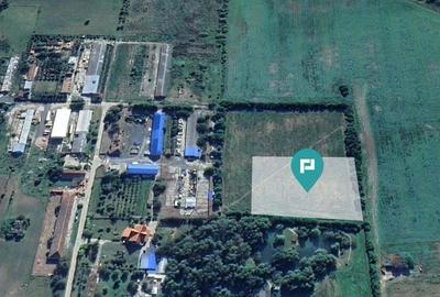 Teren 9500 mp in zona industriala - 1