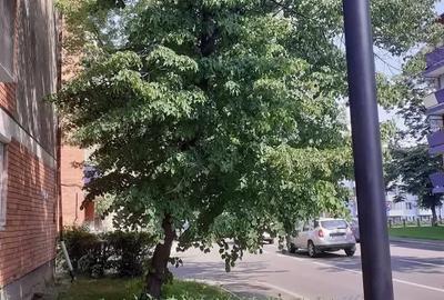 Apartament cu 2 camere semidecomandat în Cantemir - 1