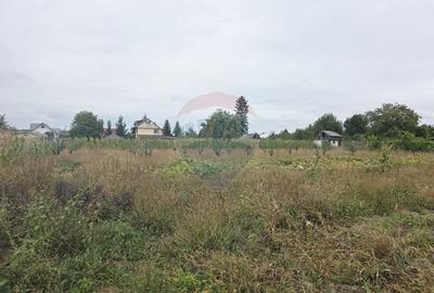Casa cu livada si teren generos - Girov - 50