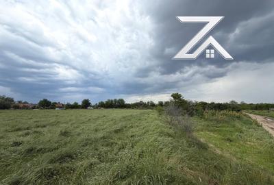 Teren Construcții intravilan de 9375 mp, în Cernele - 1